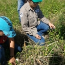 Monitoreo de cultivo