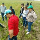 Monitoreo de cultivo